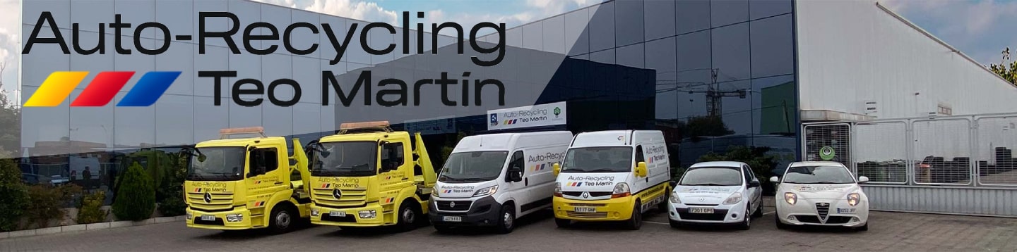 Auto-Recycling Teo Martín